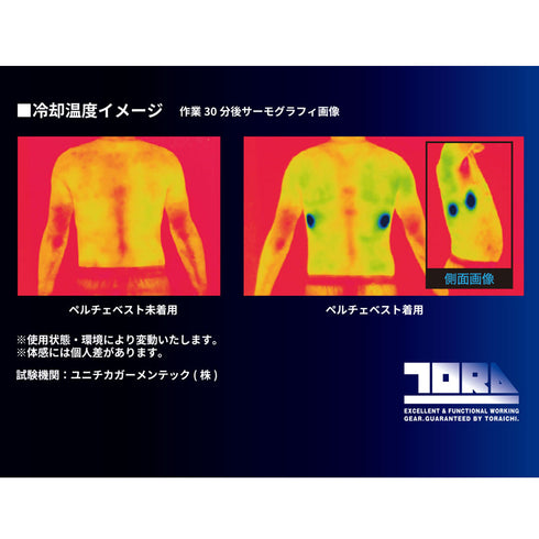 0213-000 ペルチェベストセット