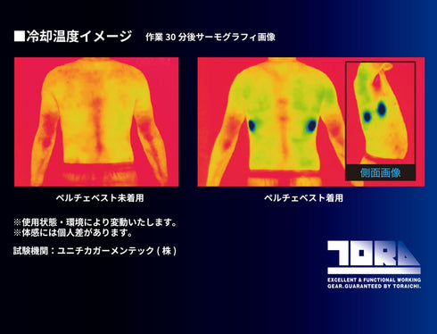 0213-000 ペルチェベストセット